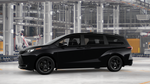 2026 Toyota Sienna Woodland Edition