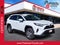 2025 Toyota RAV4 Hybrid XLE XLE