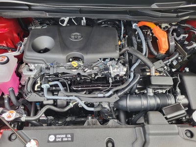 2025 Toyota Sienna Limited