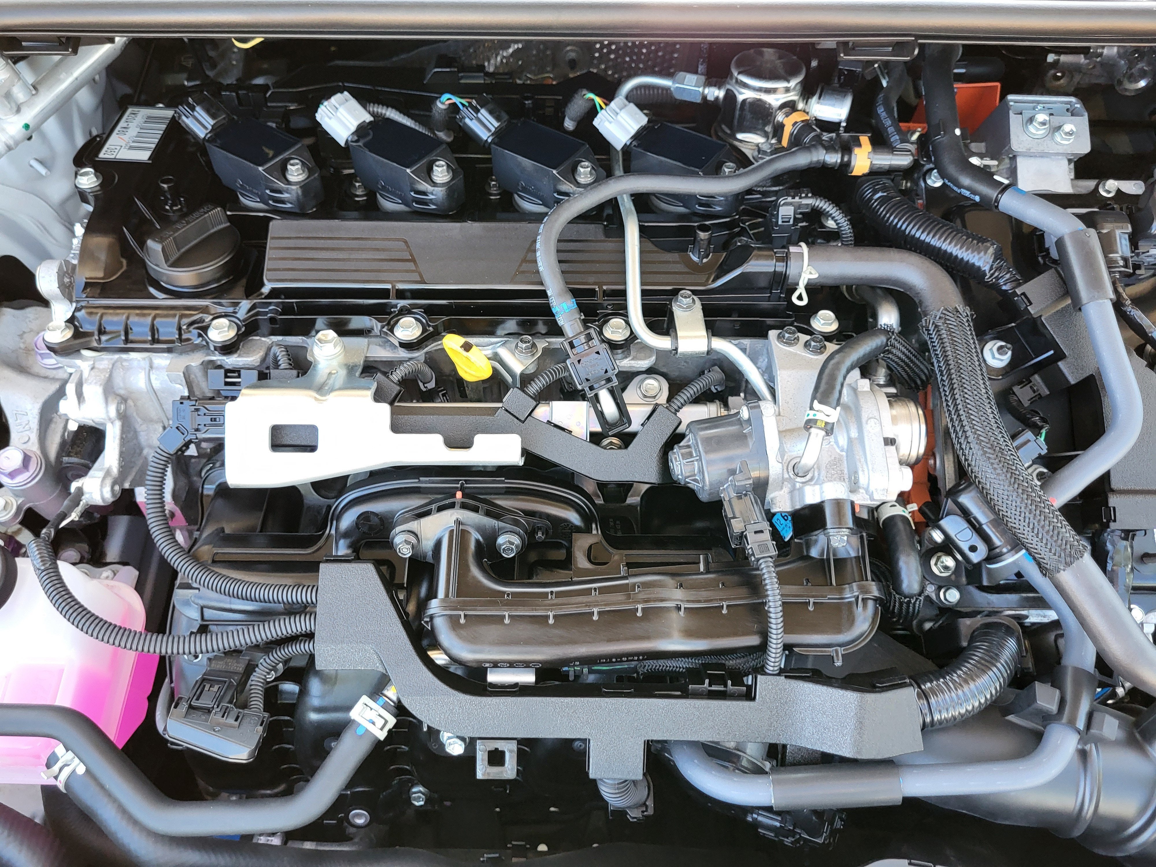 2024 Toyota Prius XLE