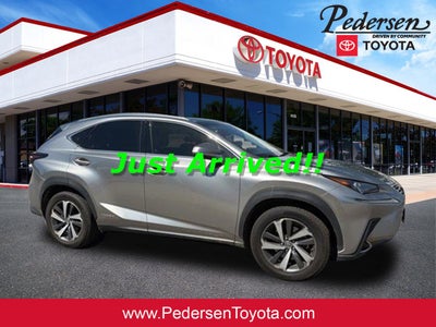 2019 Lexus NX 300h