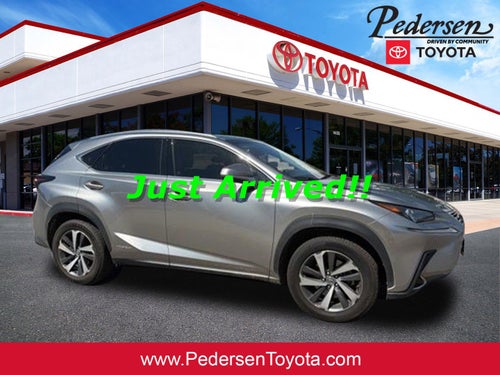 2019 Lexus NX 300h