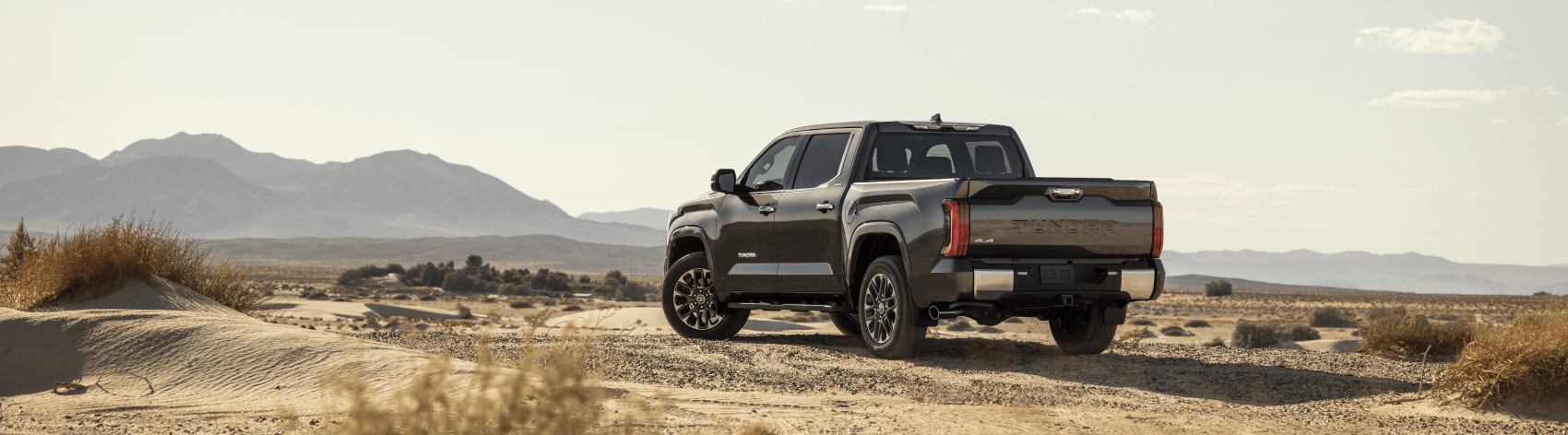 Toyota Dealer near Severance CO