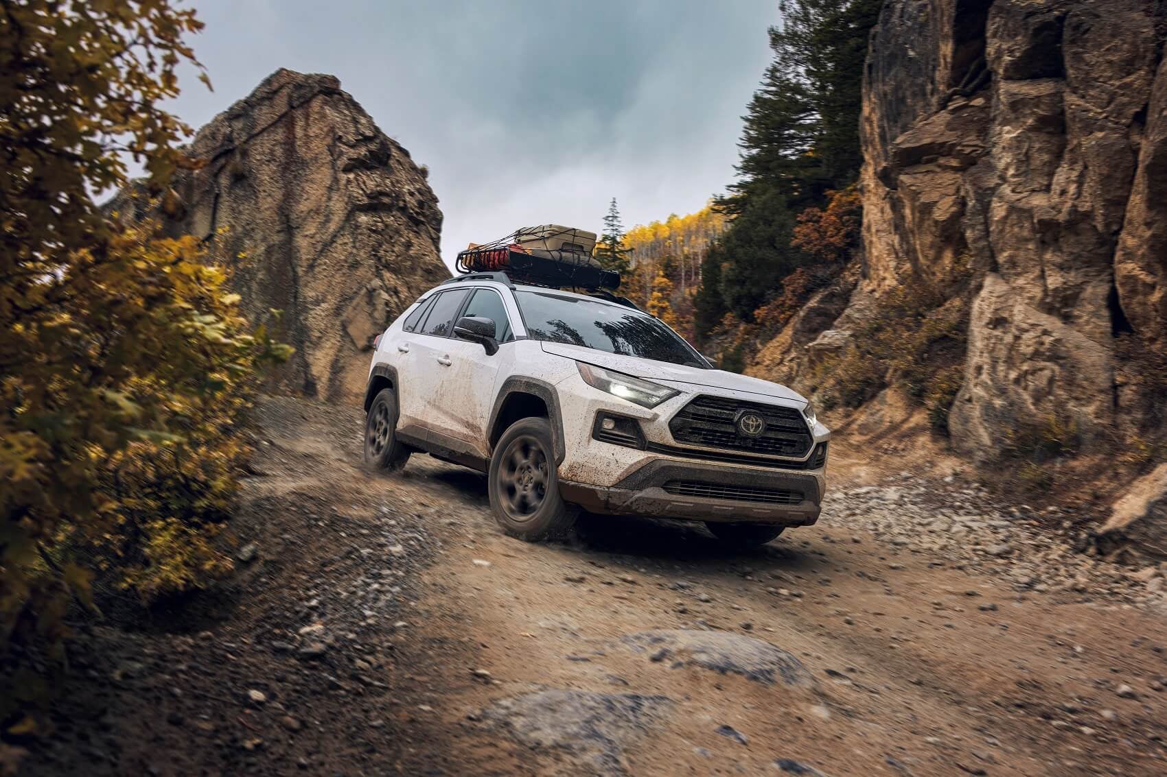 Used Cars for Sale near Johnstown, CO