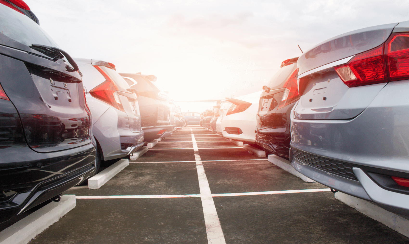 Full Used Toyota Lineup