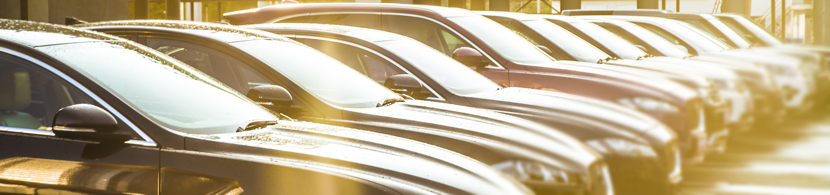 Certified Pre-Owned Vehicle Inventory near Loveland, CO