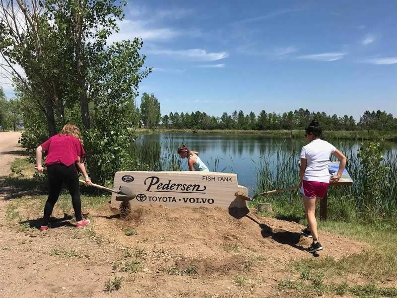 Pedersen Toyota in Fort Collins CO